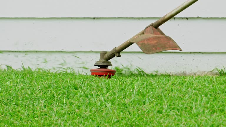 Best Lawn Irrigation Installation and Maintenance  in Murillo, TX